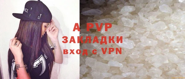 прущий лед Новозыбков