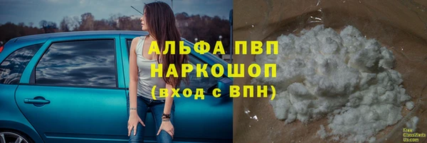 гидра Новокубанск