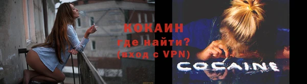 молекула духа Белокуриха