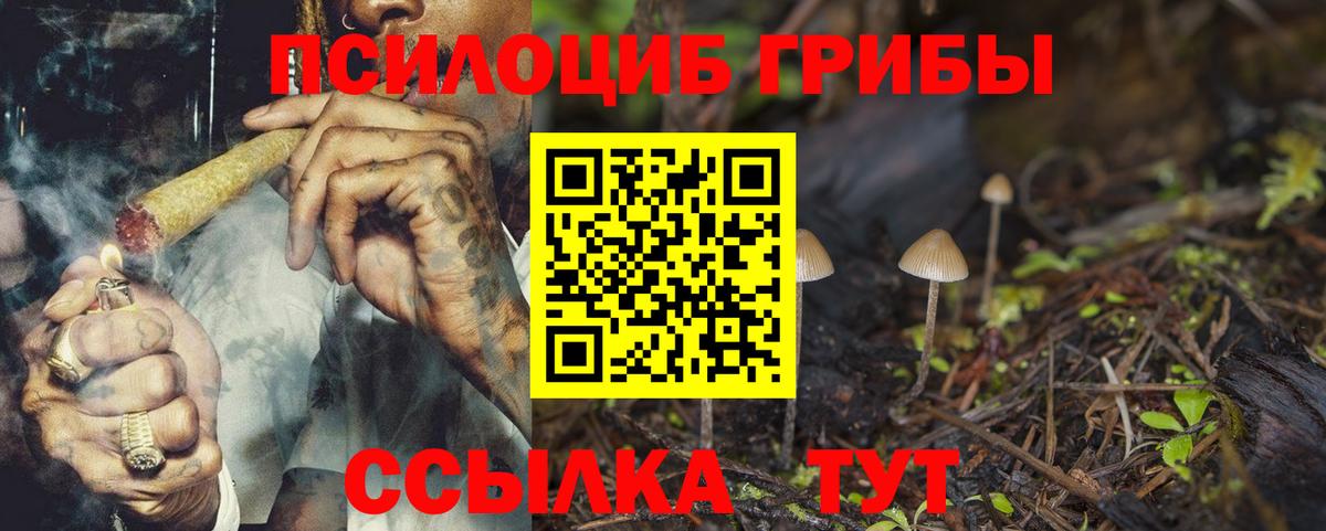 Псилоцибиновые грибы ЛСД Городец