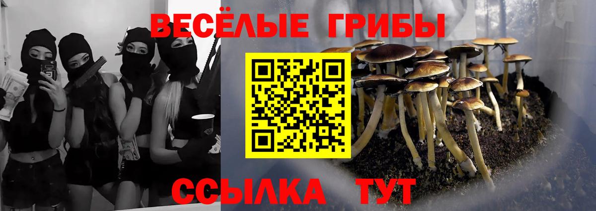 Городец  Псилоцибиновые грибы MAGIC MUSHROOMS  Вход с VPN 