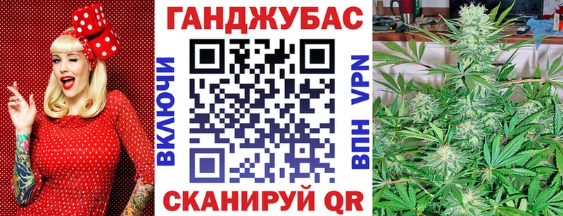 где купить наркоту  Городец  kraken tor  Канабис ГИДРОПОН 